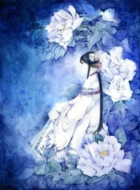 和珅新传